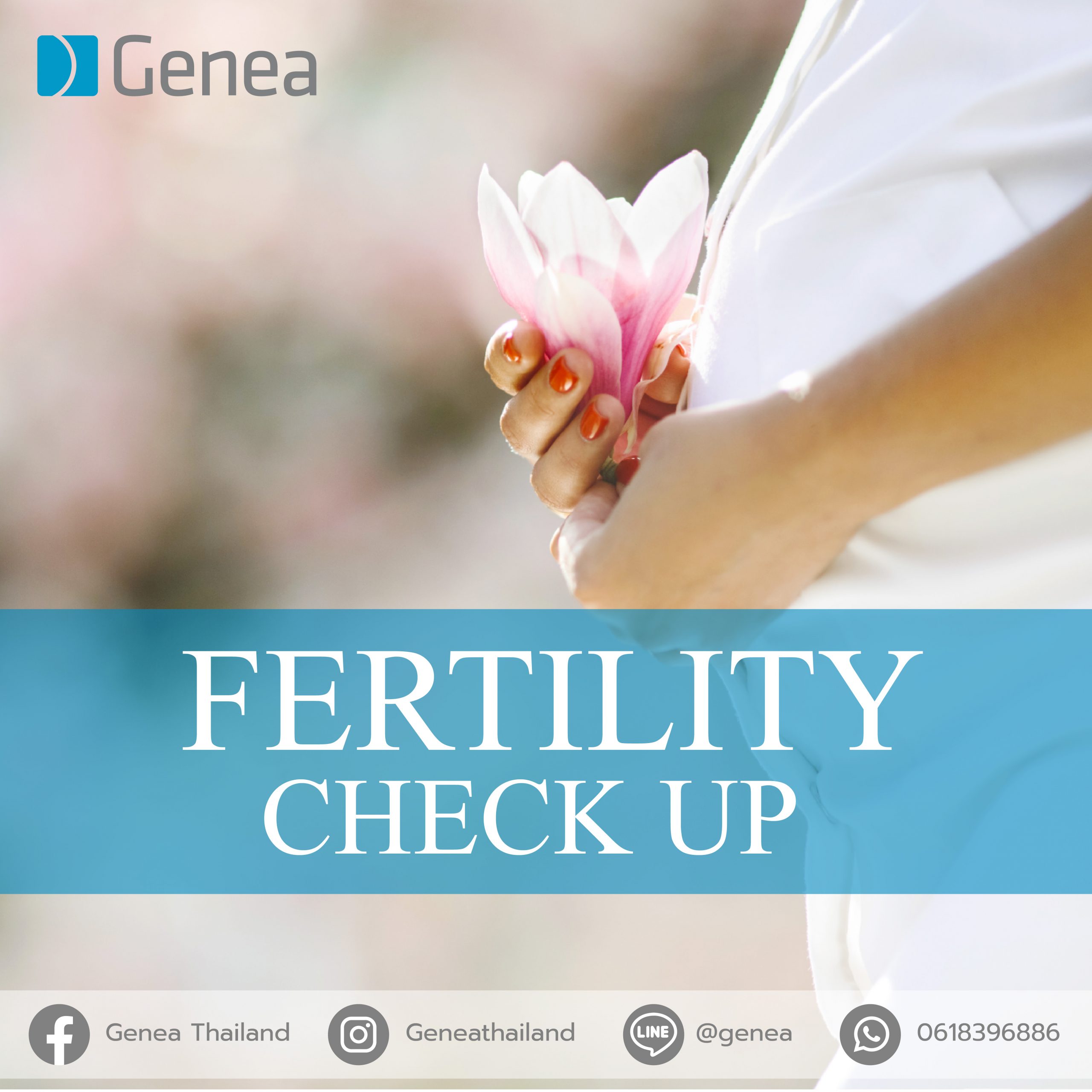 Fertility Check Up